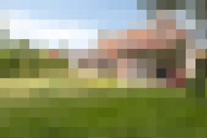 Hogezoom 33 Burgh-Haamstede thumbnail 26