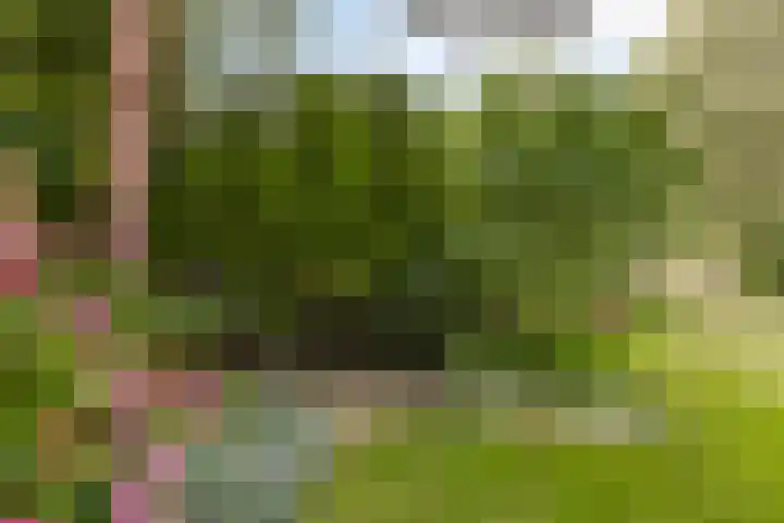 Hogezoom 33 Burgh-Haamstede thumbnail 30