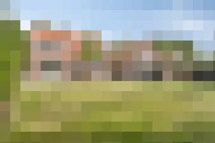 Hogezoom 33 Burgh-Haamstede thumbnail 31