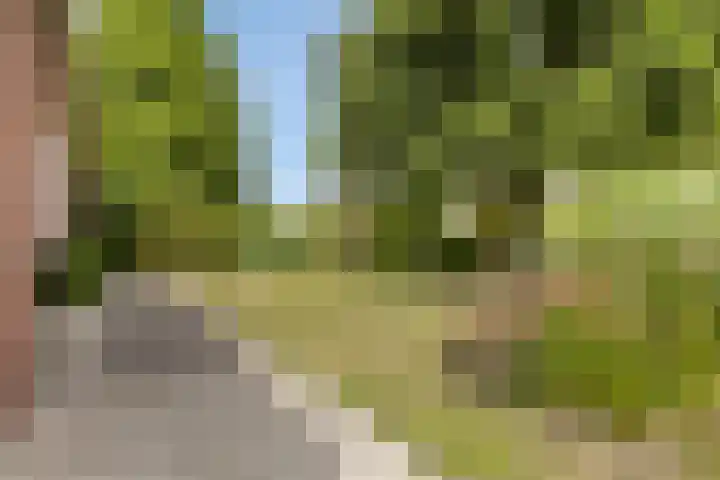 Hogezoom 33 Burgh-Haamstede thumbnail 34
