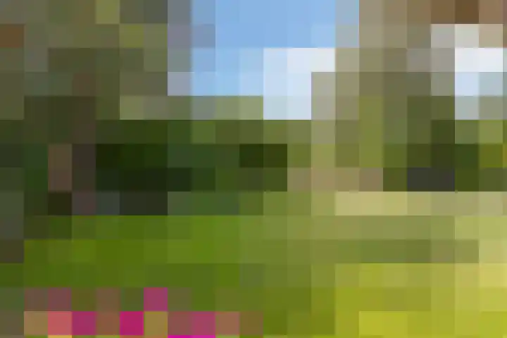 Hogezoom 33 Burgh-Haamstede thumbnail 4