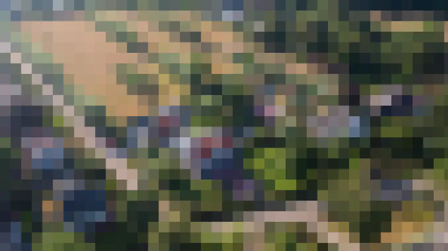 Hogezoom 4 Burgh-Haamstede thumbnail 4