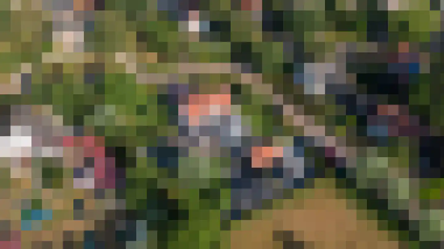 Hogezoom 4 Burgh-Haamstede thumbnail 65