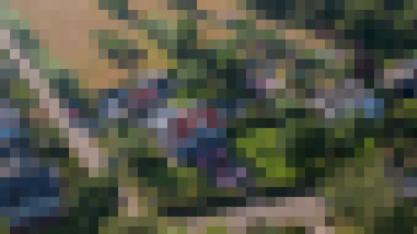 Hogezoom 4 Burgh-Haamstede thumbnail 66