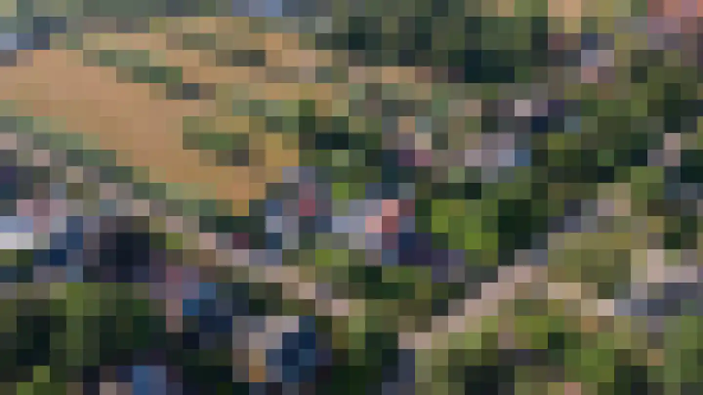 Hogezoom 4 Burgh-Haamstede thumbnail 67