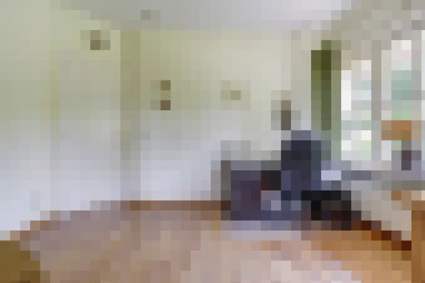 Hogezoom 41 Burgh-Haamstede thumbnail 34