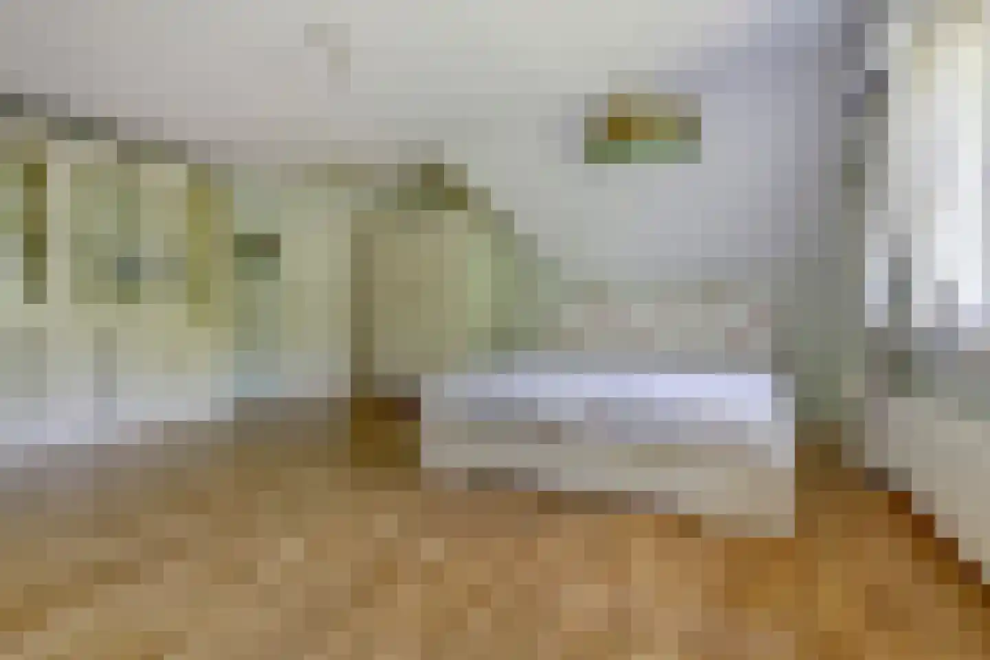 Hogezoom 41 Burgh-Haamstede thumbnail 37