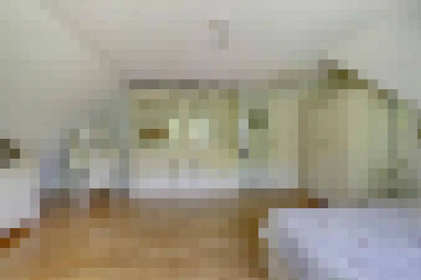 Hogezoom 41 Burgh-Haamstede thumbnail 38
