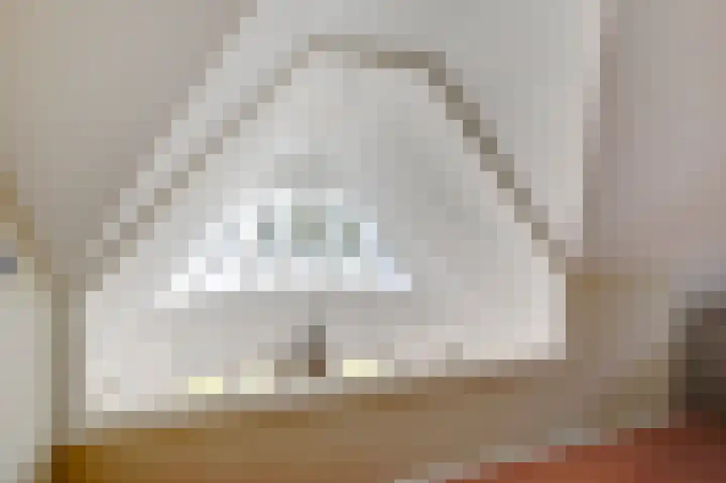 Hogezoom 41 Burgh-Haamstede thumbnail 53