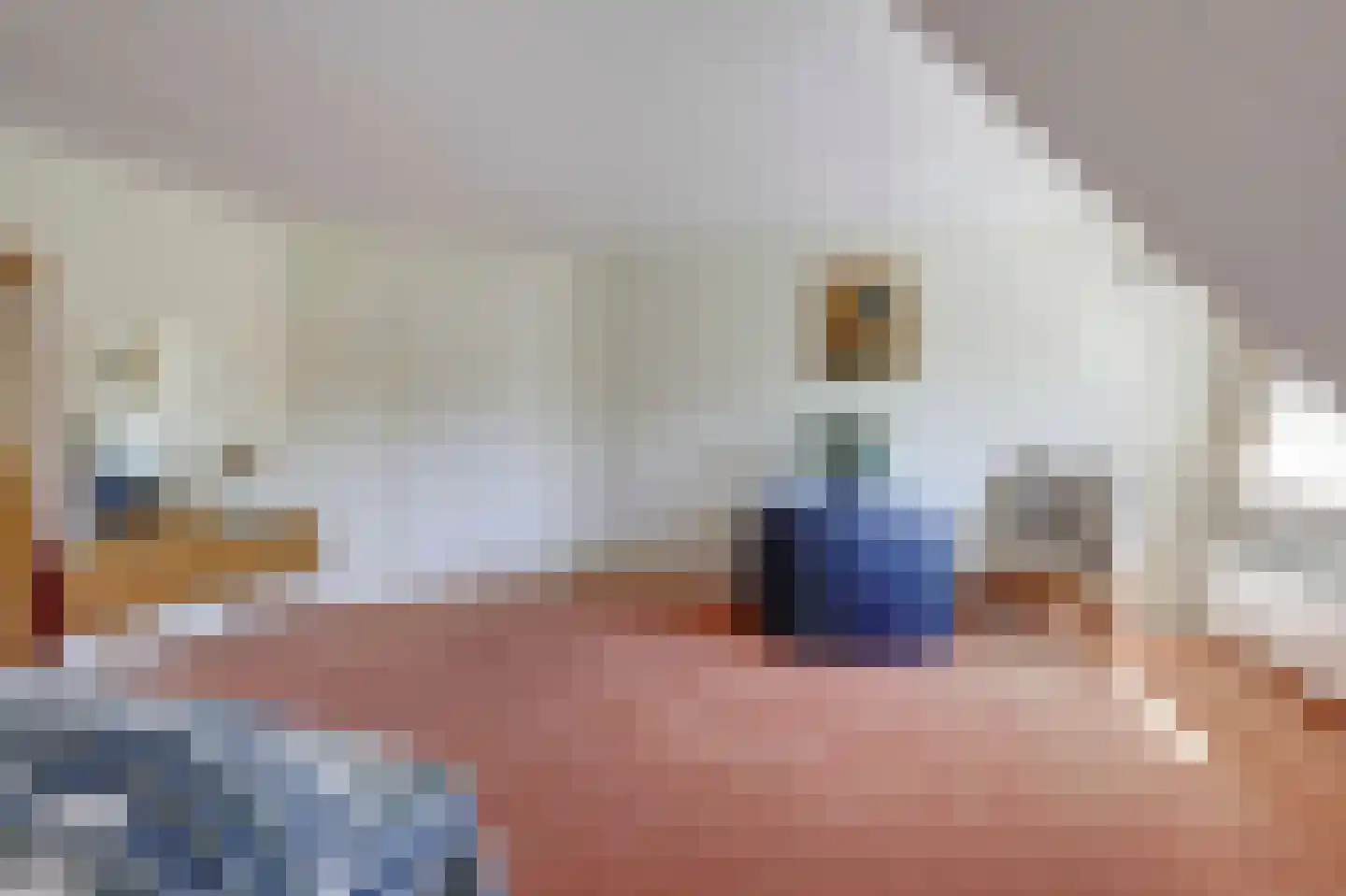 Hogezoom 41 Burgh-Haamstede thumbnail 54