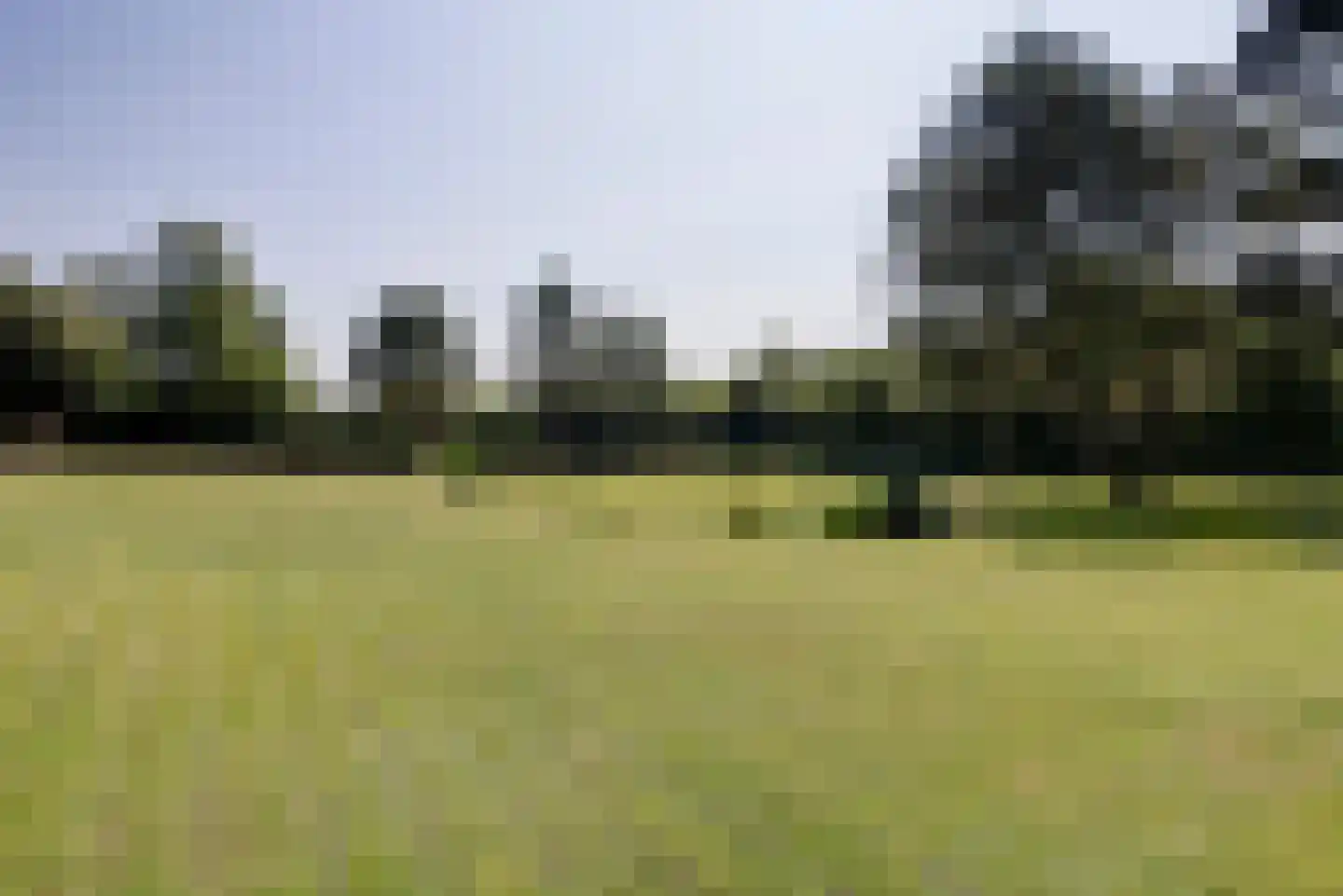 Hogezoom 41 Burgh-Haamstede thumbnail 58