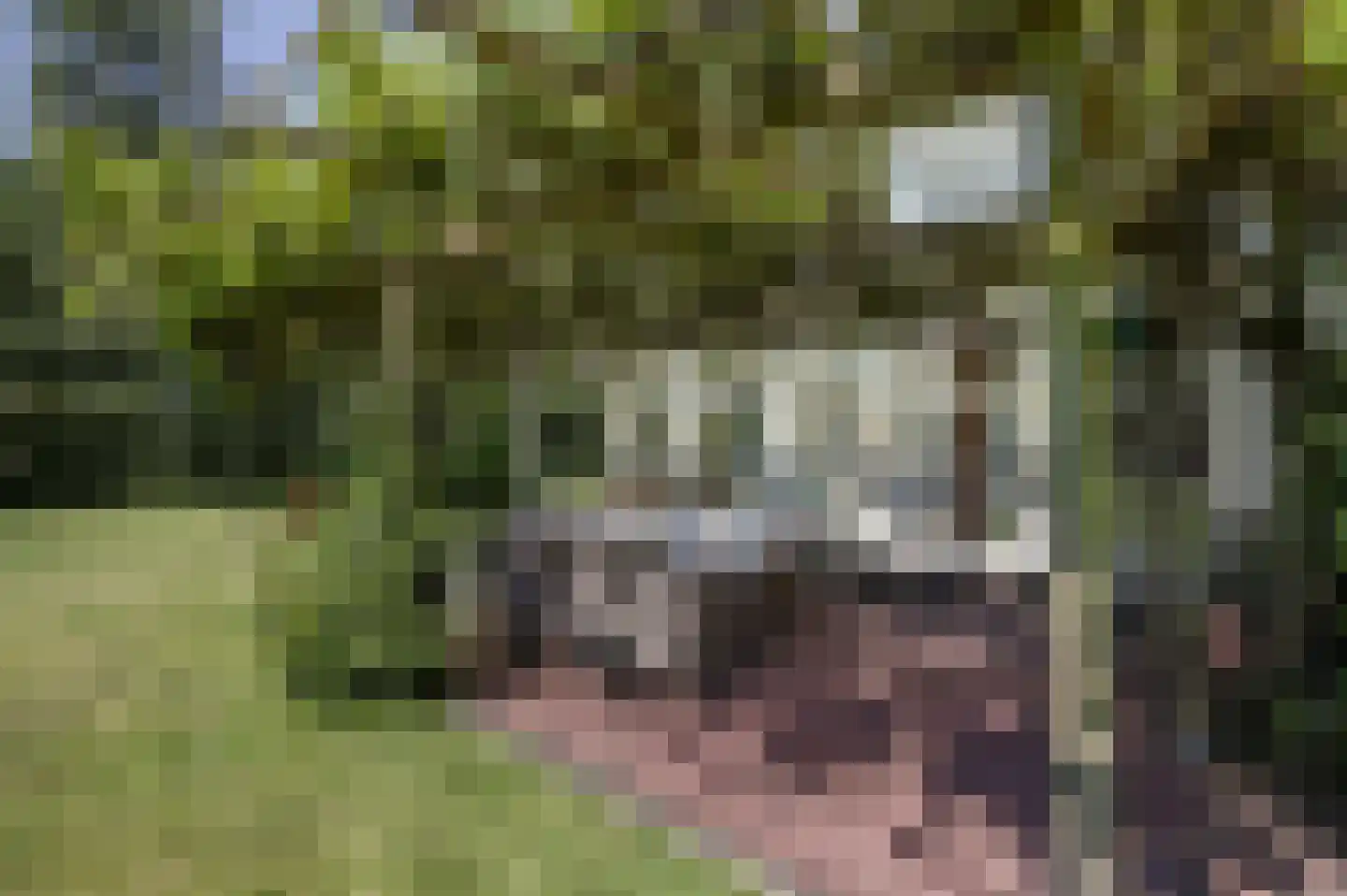 Hogezoom 41 Burgh-Haamstede thumbnail 60