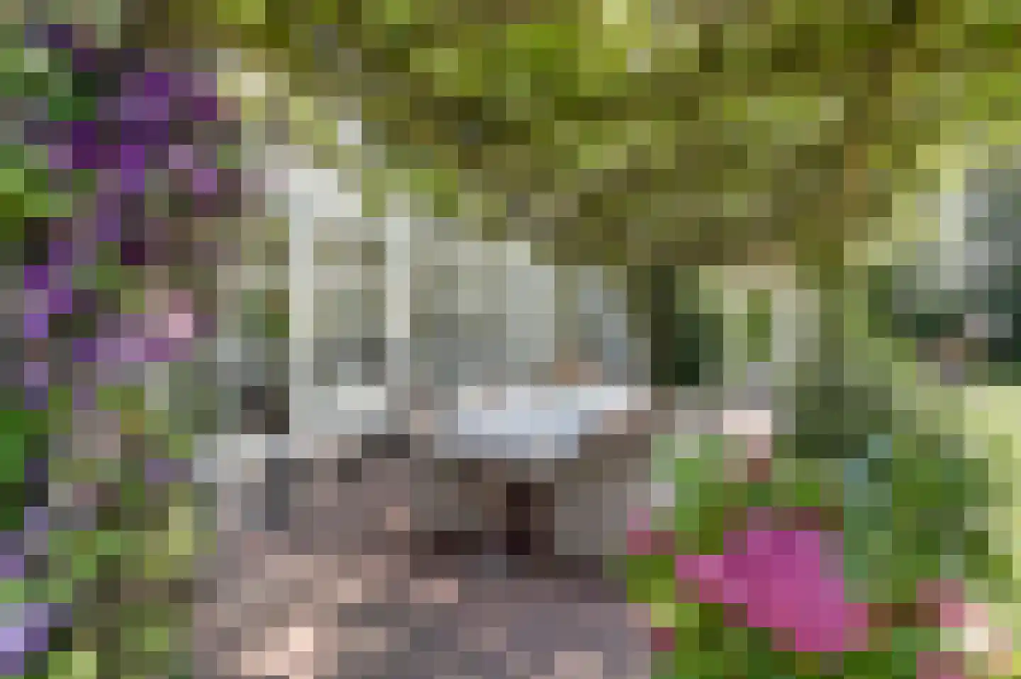 Hogezoom 41 Burgh-Haamstede thumbnail 61