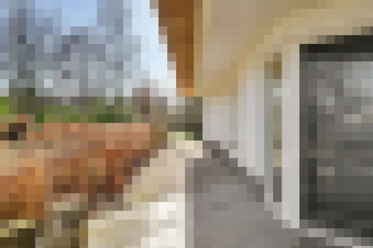 Hogezoom 41 Burgh-Haamstede thumbnail 66