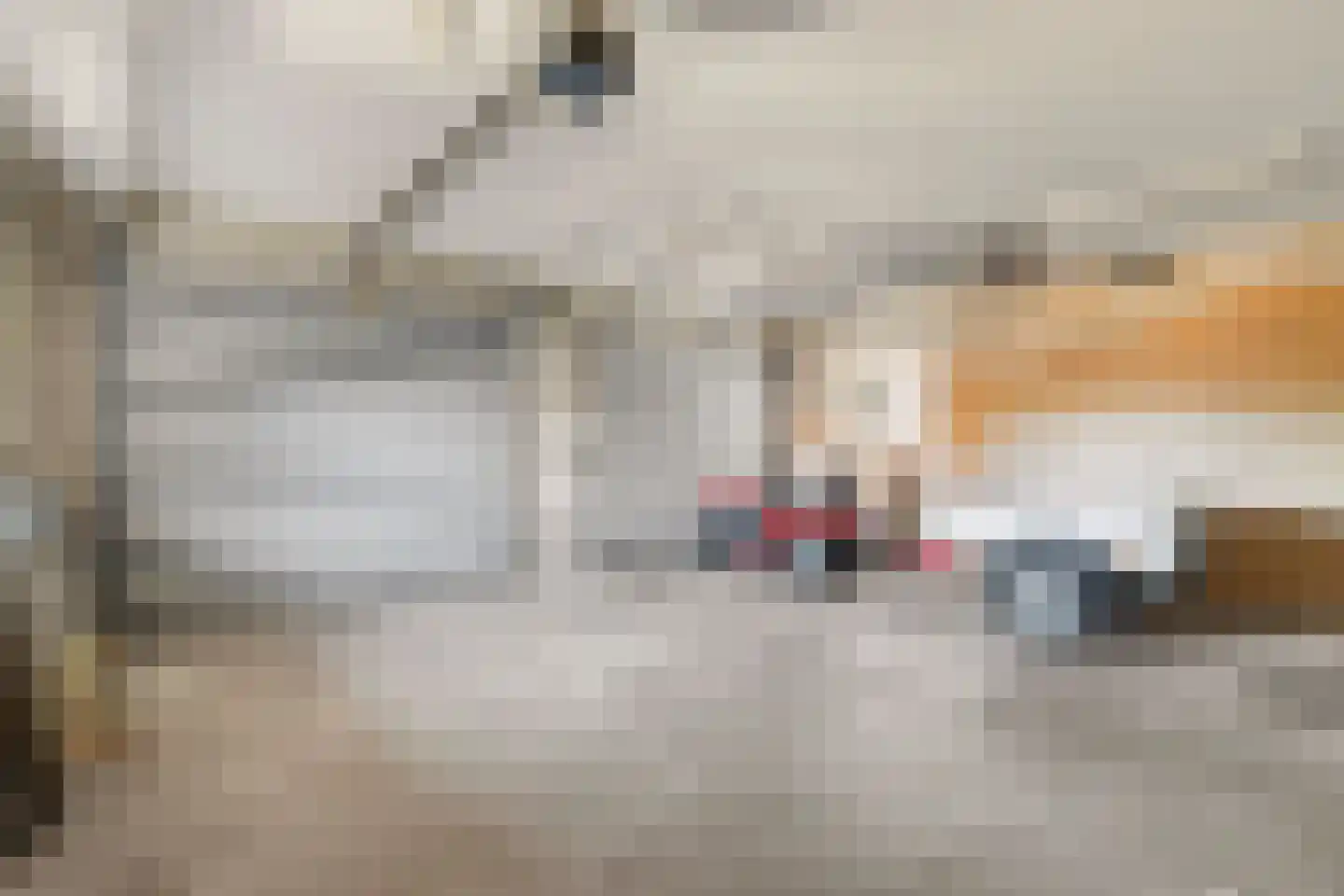 Hogezoom 41 Burgh-Haamstede thumbnail 69