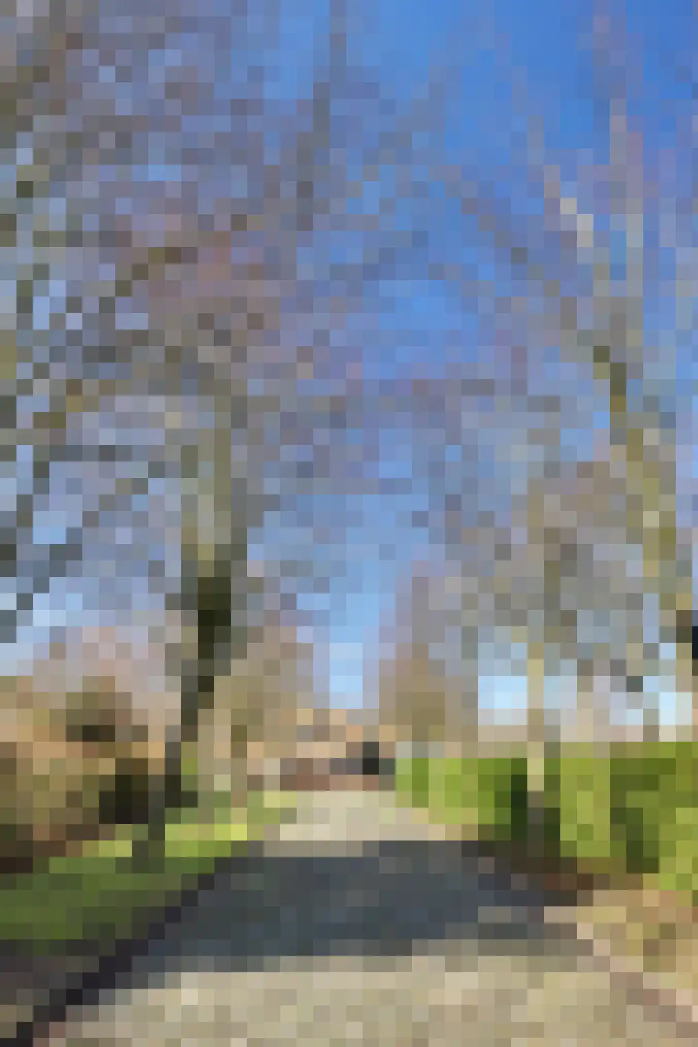 Hogezoom 41 Burgh-Haamstede thumbnail 76