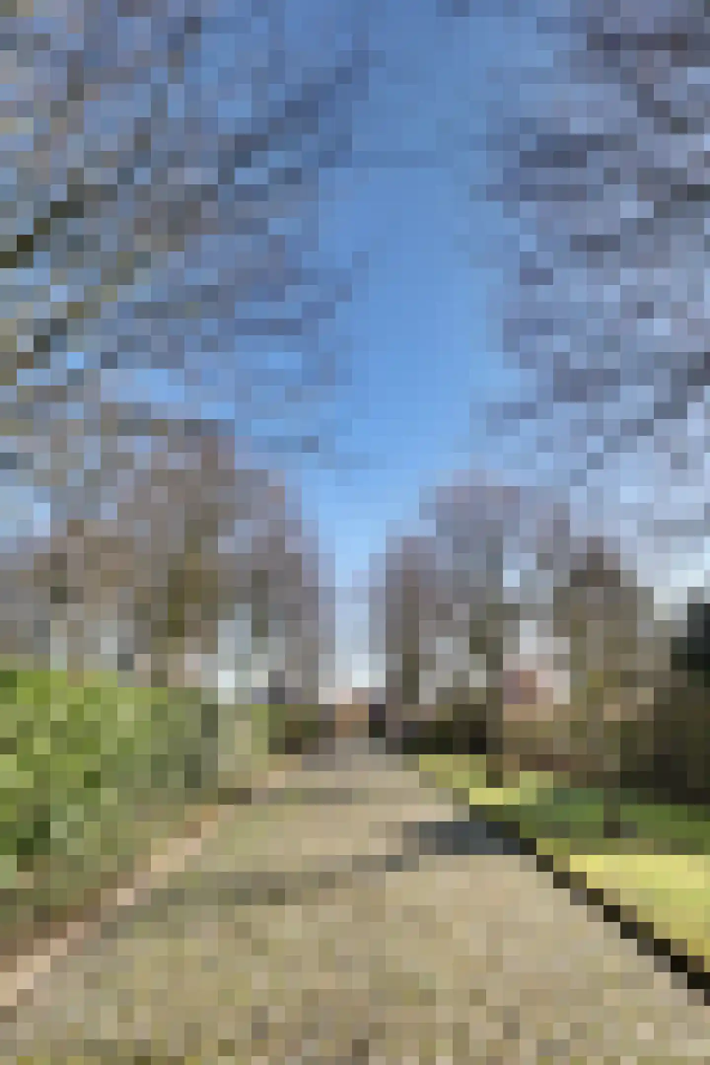 Hogezoom 41 Burgh-Haamstede thumbnail 77