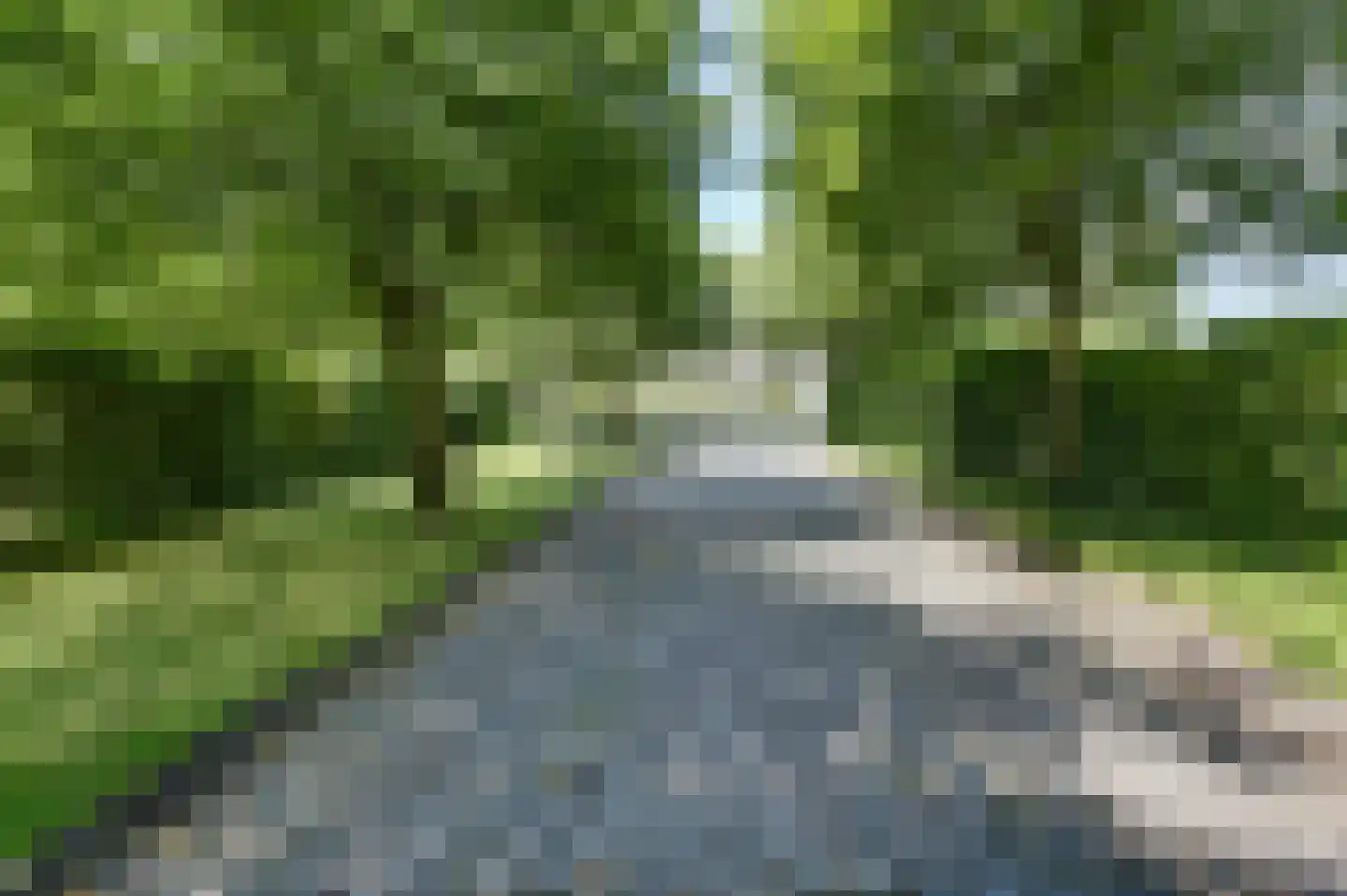Hogezoom 41 Burgh-Haamstede thumbnail 8
