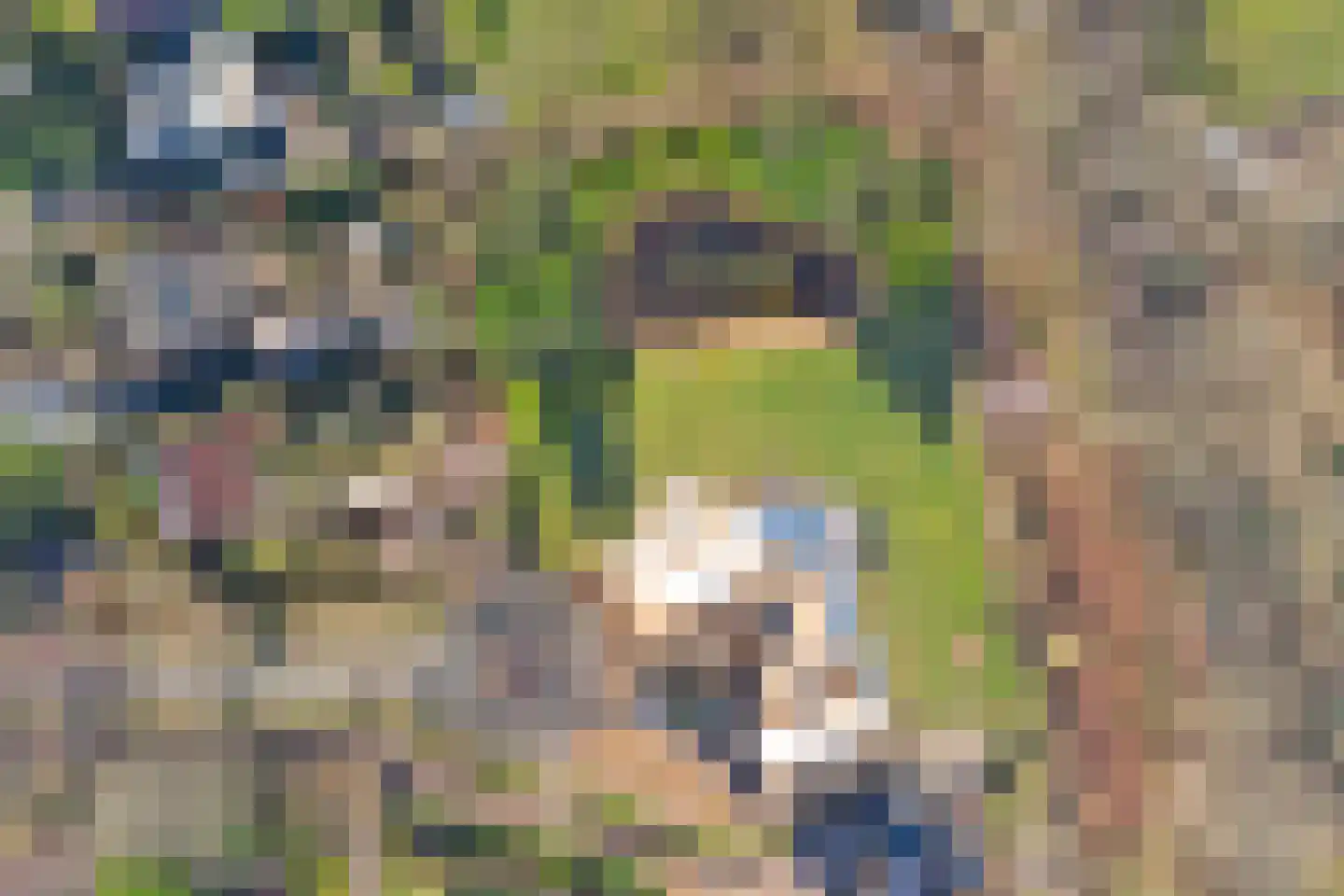 Hogezoom 41 Burgh-Haamstede thumbnail 83