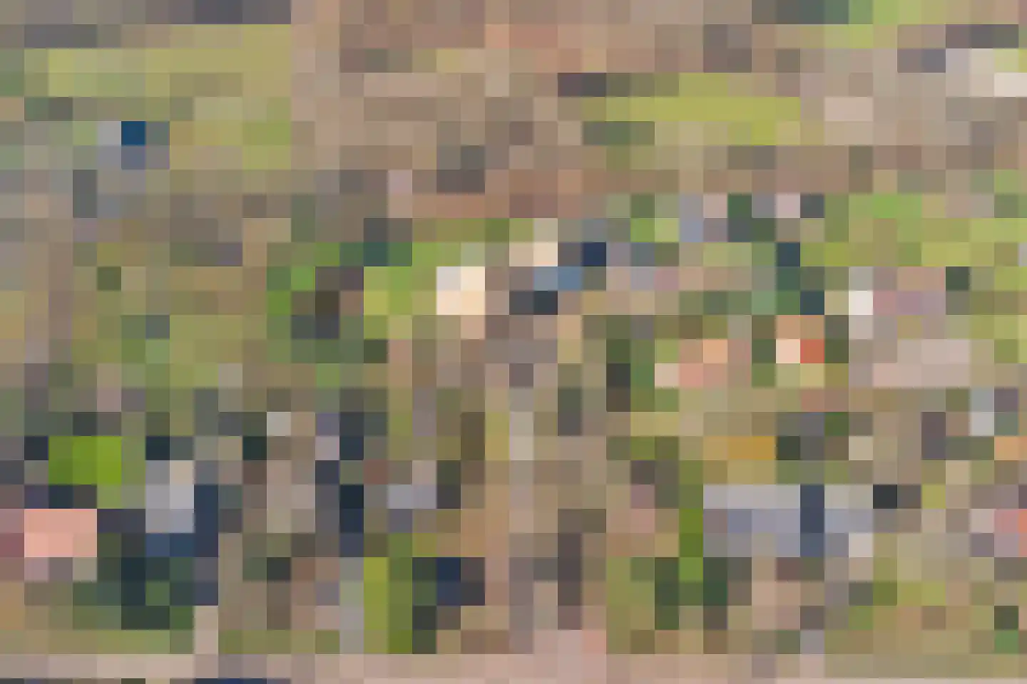 Hogezoom 41 Burgh-Haamstede thumbnail 87
