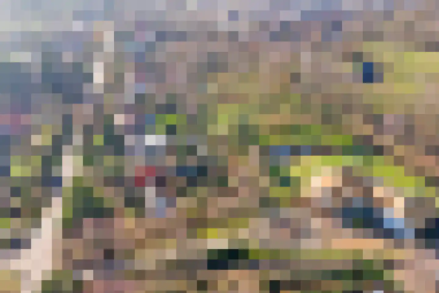 Hogezoom 41 Burgh-Haamstede thumbnail 88