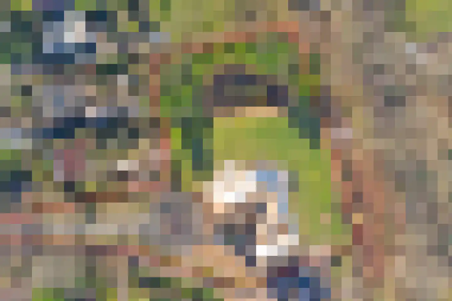 Hogezoom 41 Burgh-Haamstede thumbnail 91