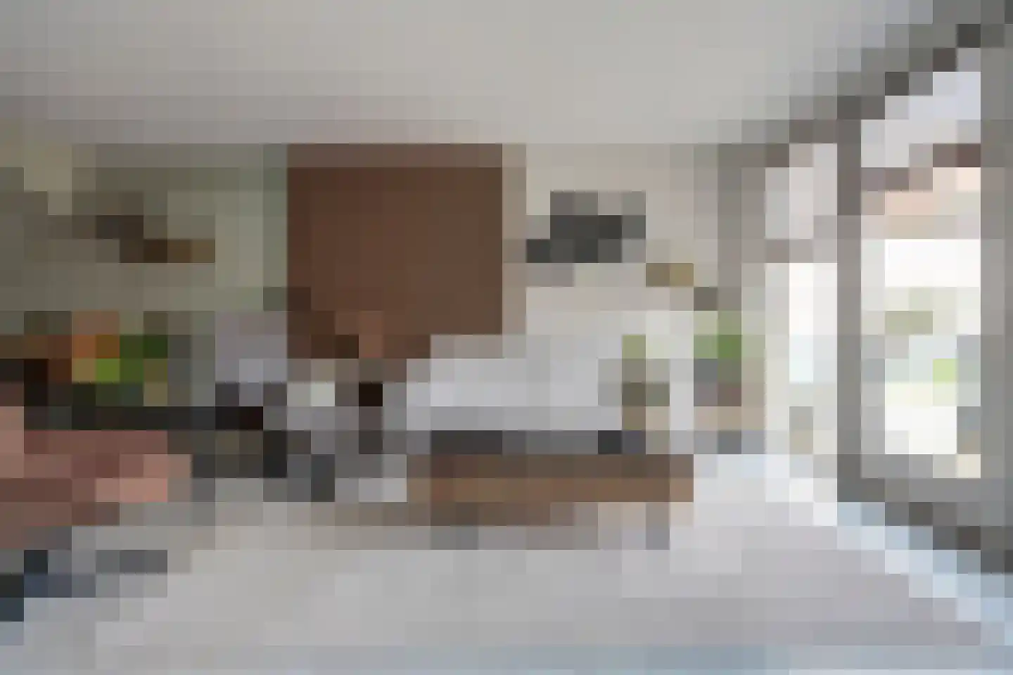 Hohorst 18 De Lier thumbnail 10