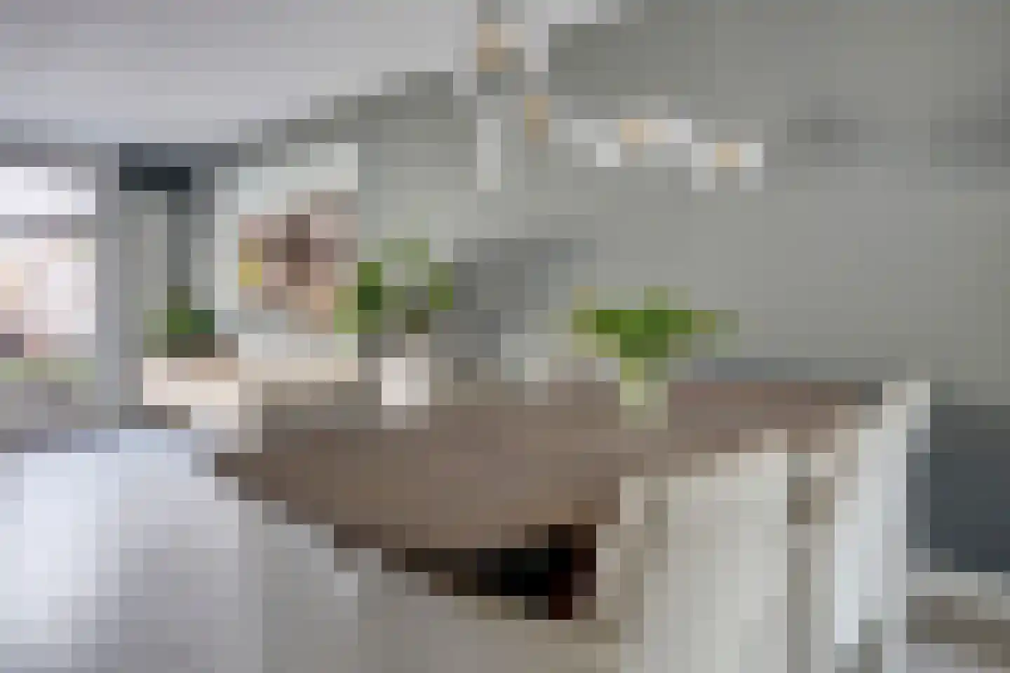 Hohorst 18 De Lier thumbnail 12