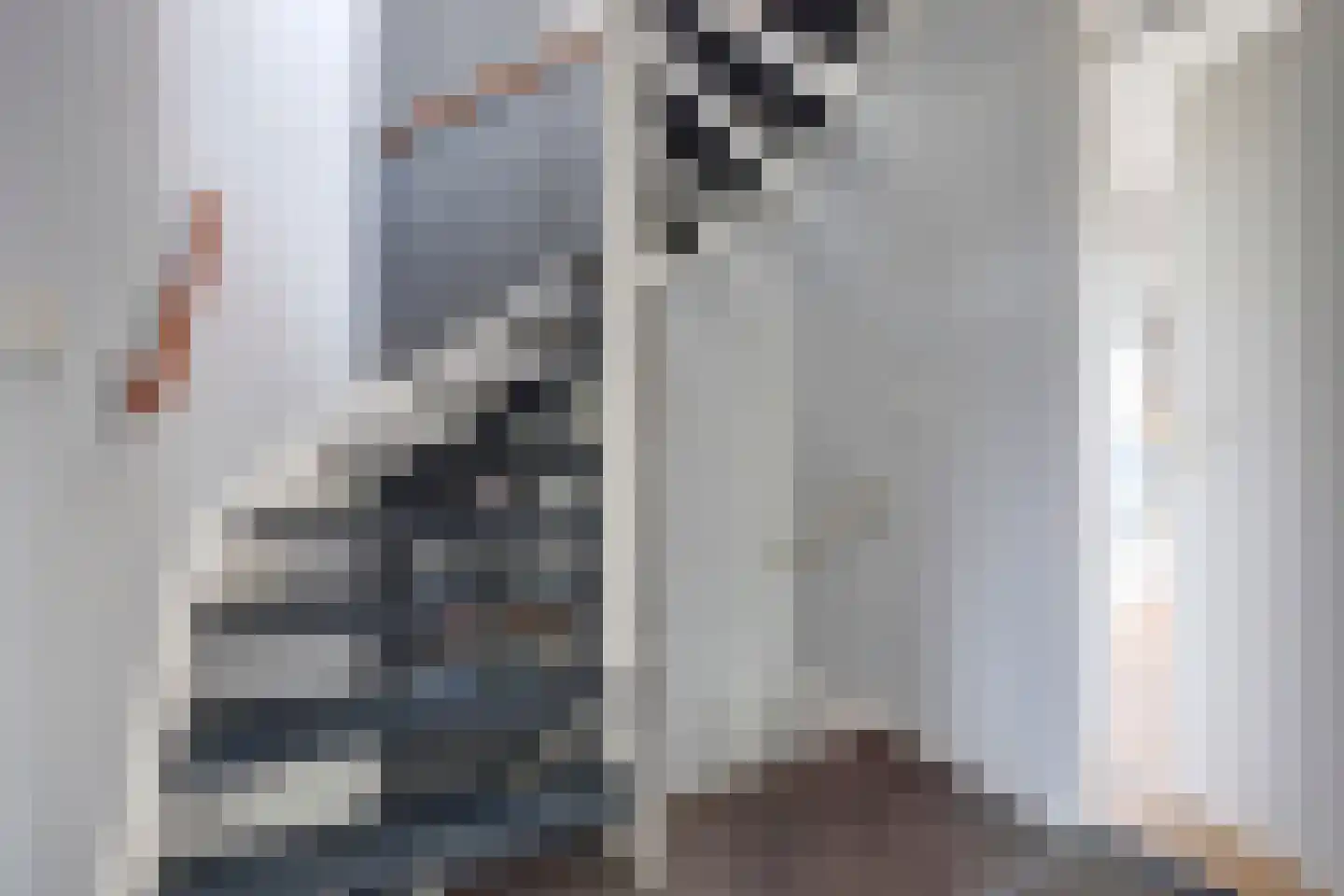 Hohorst 18 De Lier thumbnail 16