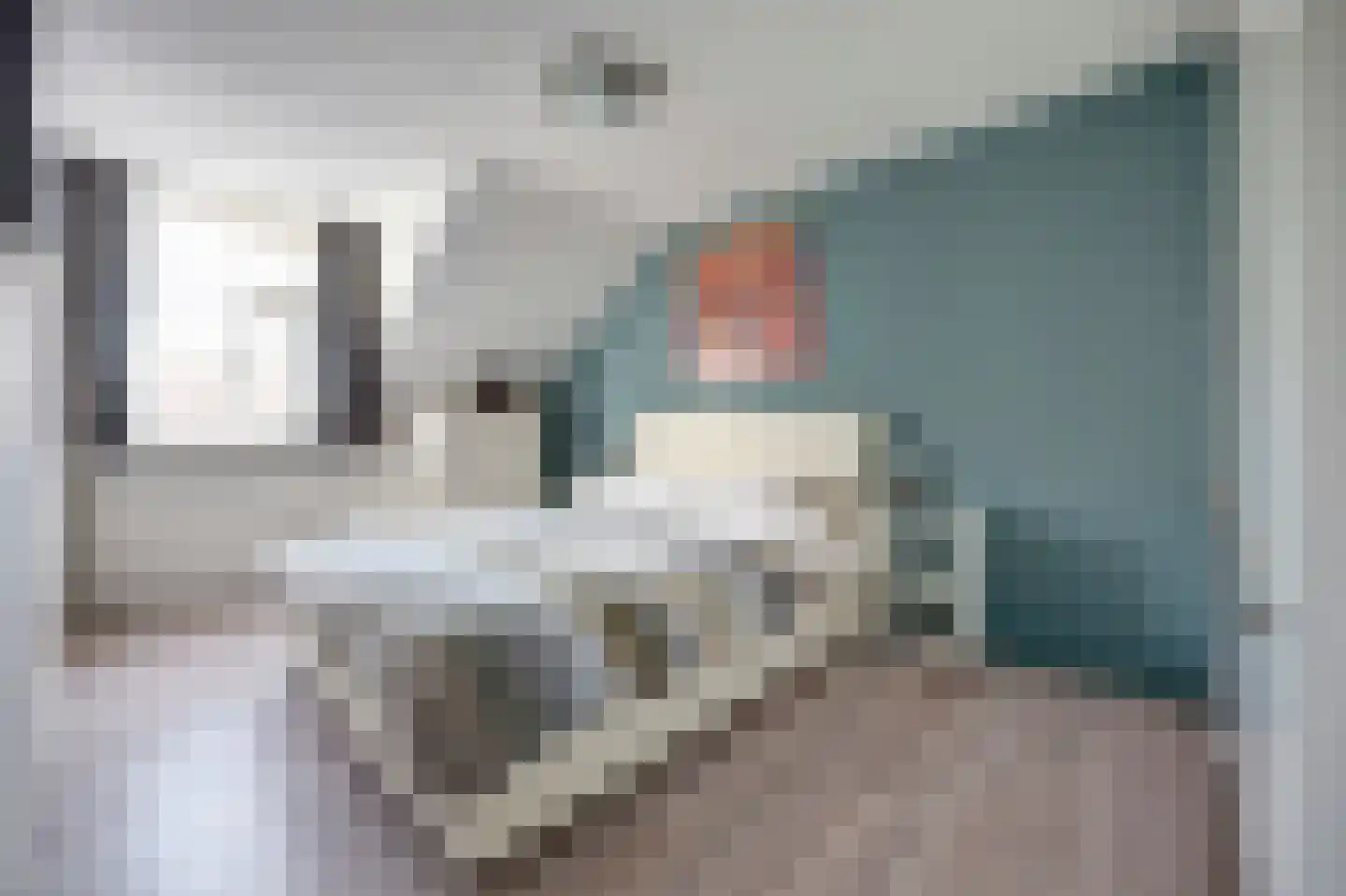 Hohorst 18 De Lier thumbnail 20