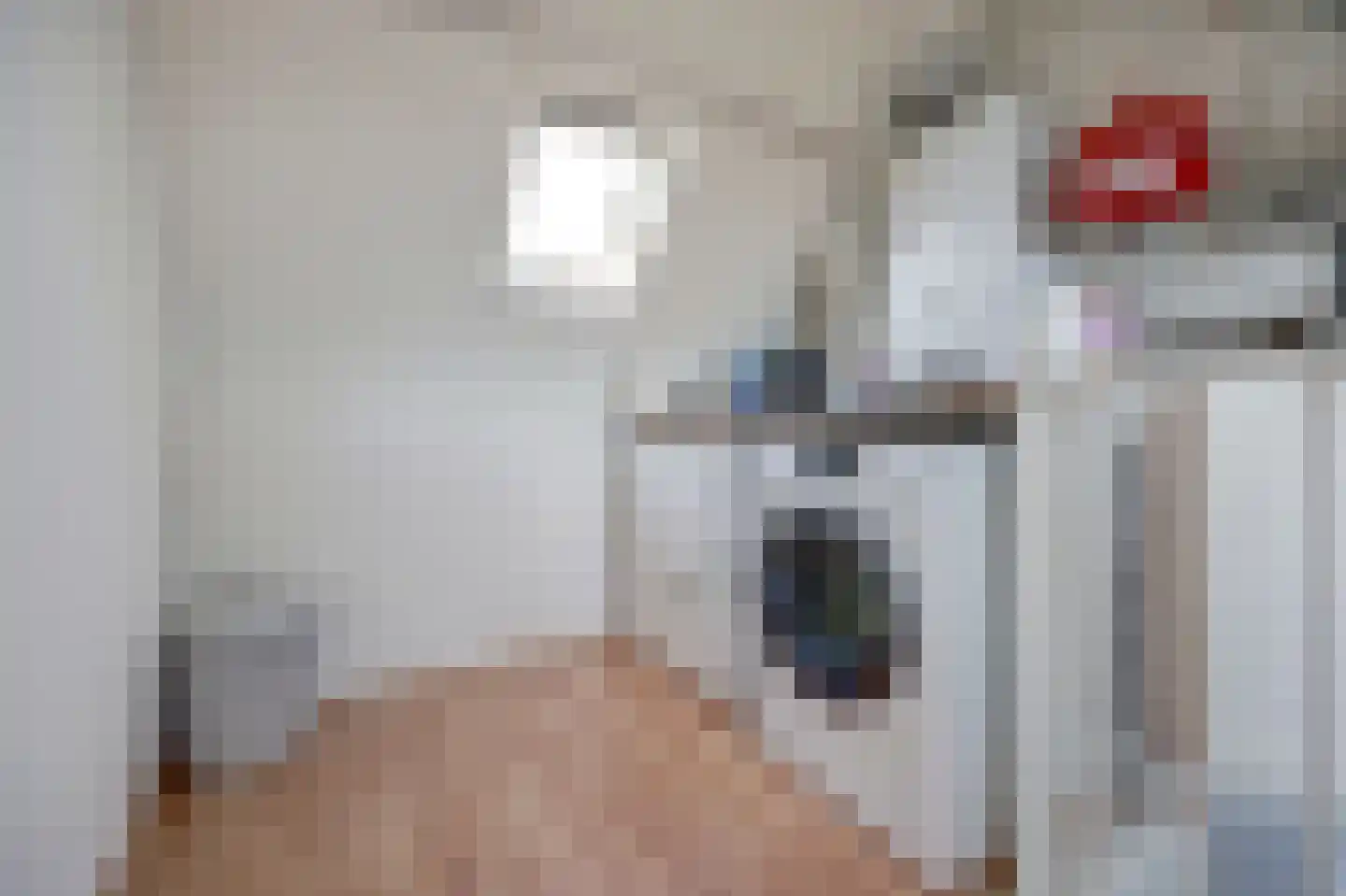 Hohorst 18 De Lier thumbnail 24