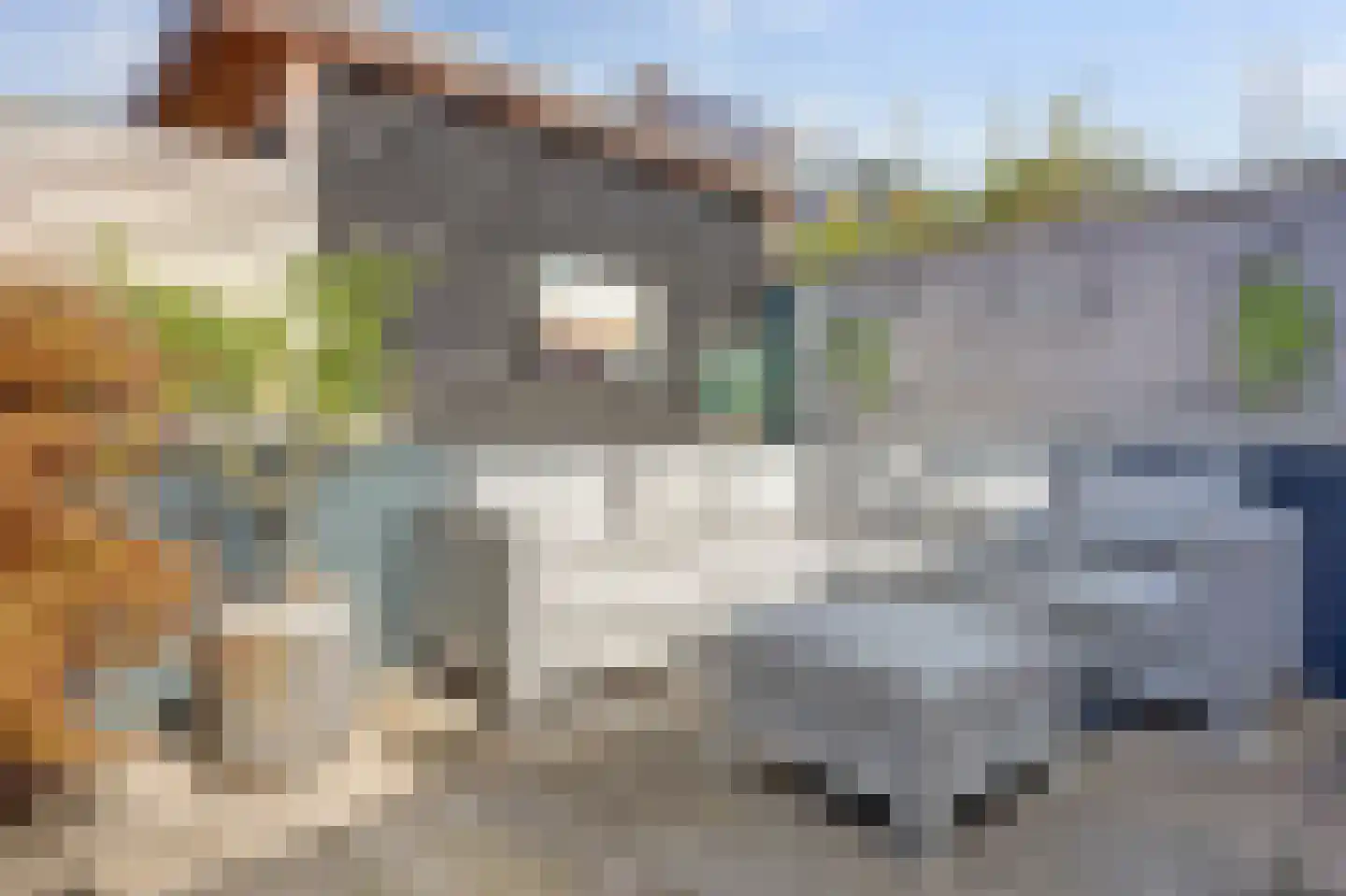 Hohorst 18 De Lier thumbnail 31