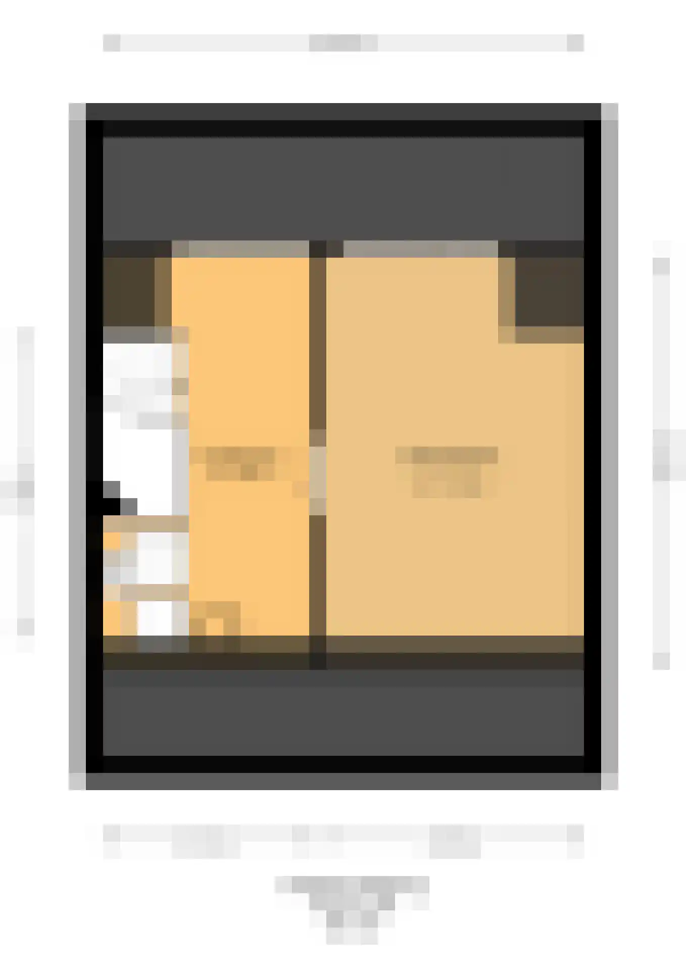 Hohorst 18 De Lier thumbnail 38