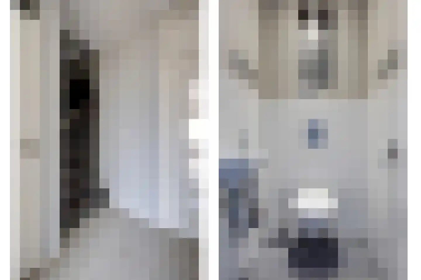 Hohorst 18 De Lier thumbnail 6