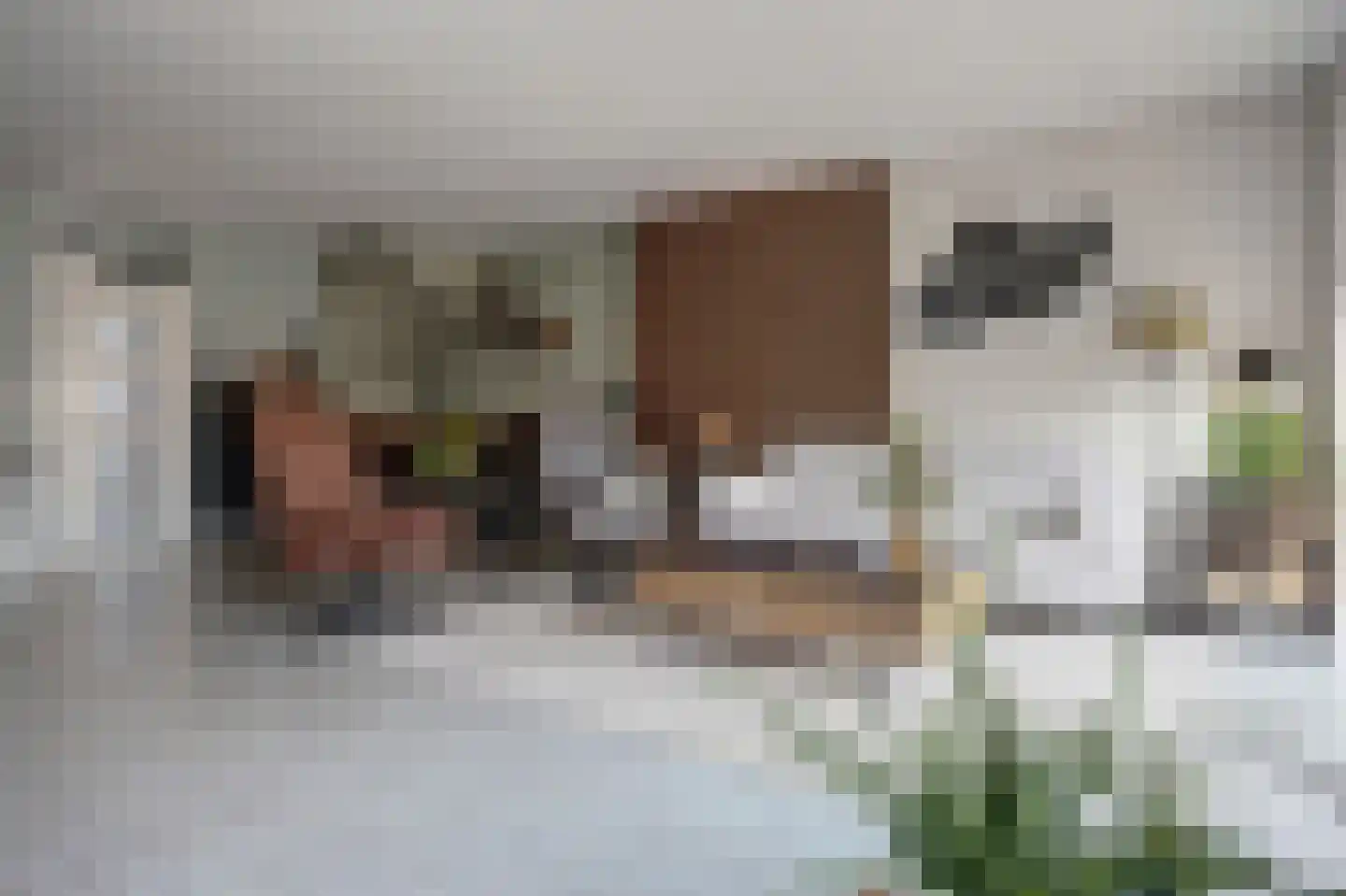 Hohorst 18 De Lier thumbnail 8