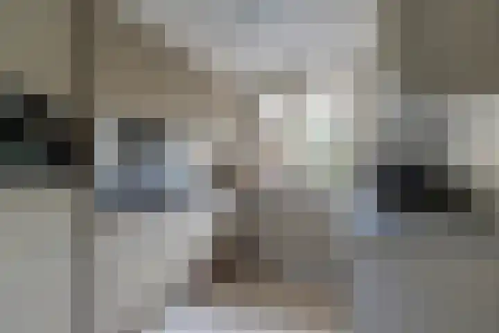 Hohorst 60 De Lier thumbnail 11