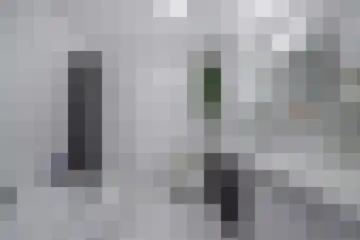 Hohorst 60 De Lier thumbnail 12