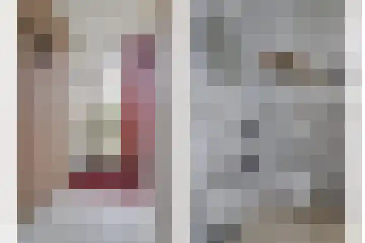 Hohorst 60 De Lier thumbnail 13