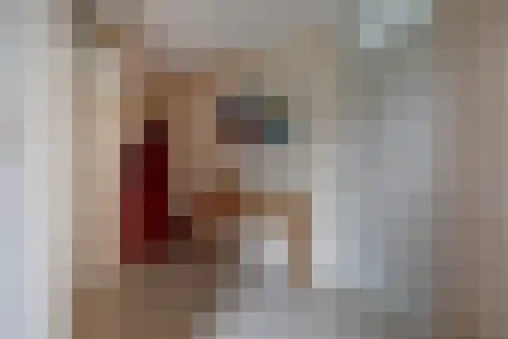 Hohorst 60 De Lier thumbnail 14
