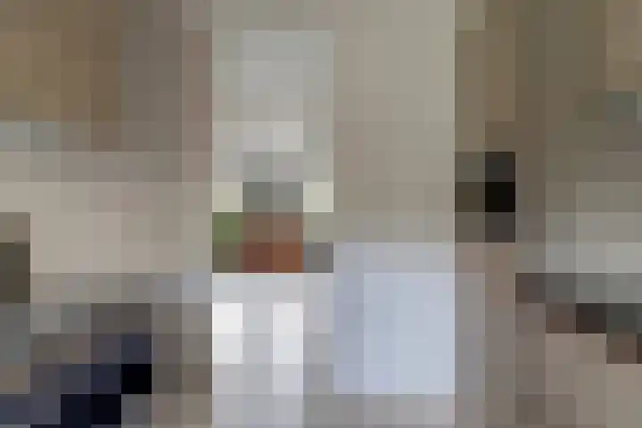 Hohorst 60 De Lier thumbnail 15