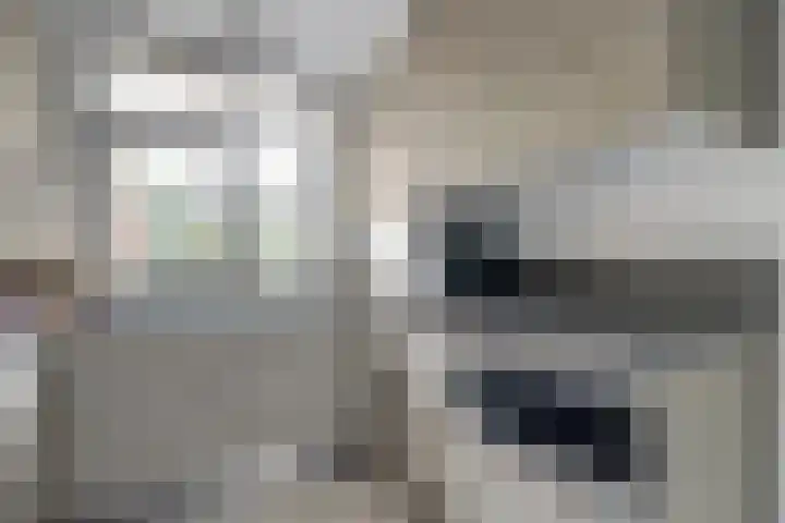 Hohorst 60 De Lier thumbnail 16