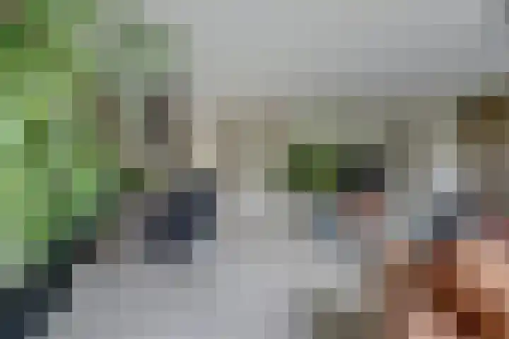 Hohorst 60 De Lier thumbnail 18