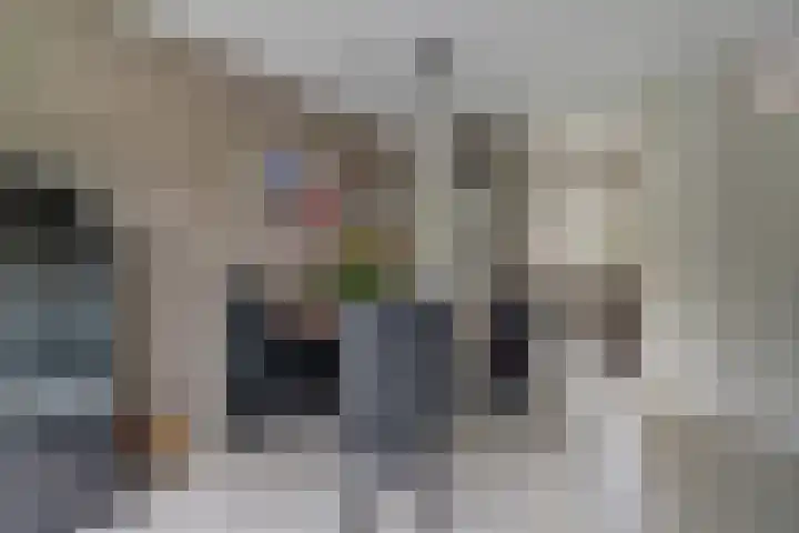 Hohorst 60 De Lier thumbnail 19