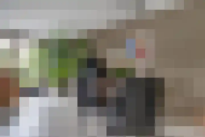 Hohorst 60 De Lier thumbnail 20