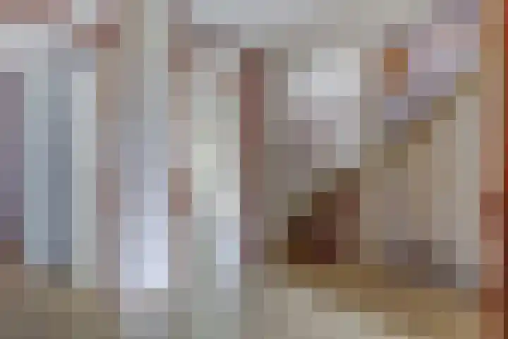 Hohorst 60 De Lier thumbnail 21