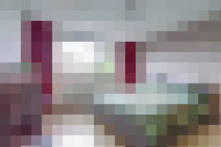 Hohorst 60 De Lier thumbnail 22