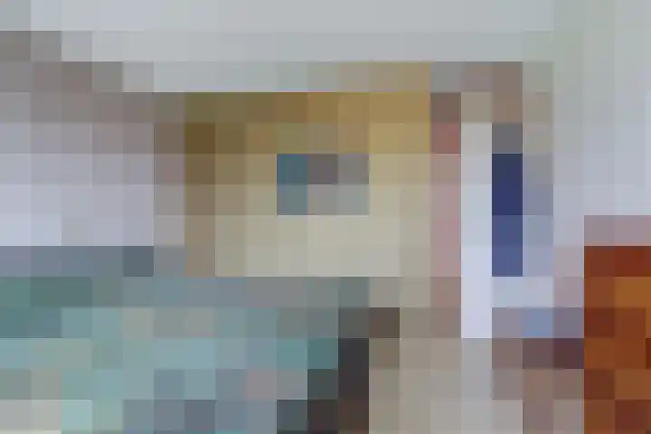 Hohorst 60 De Lier thumbnail 23