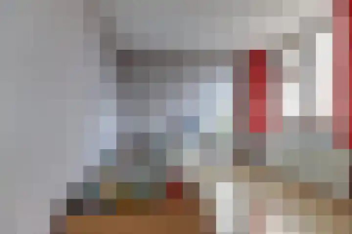 Hohorst 60 De Lier thumbnail 24