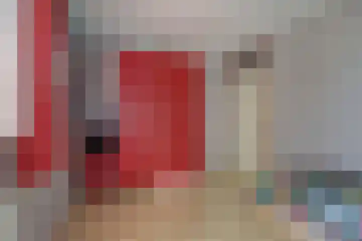 Hohorst 60 De Lier thumbnail 25
