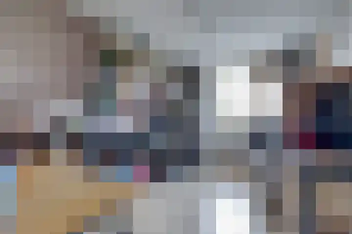 Hohorst 60 De Lier thumbnail 26